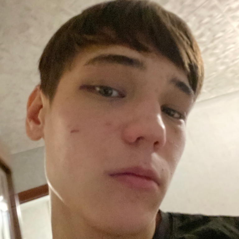 Александр Новиков